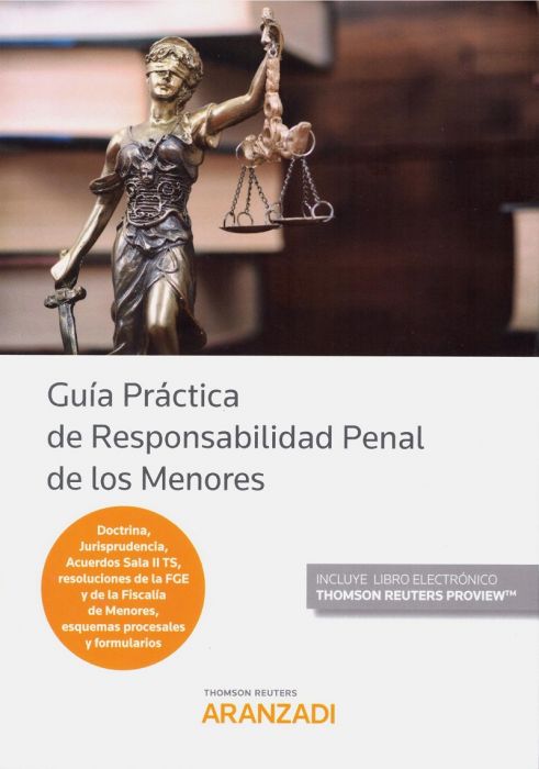 Guía práctica de responsabilidad penal de los menores. 9788413090399
