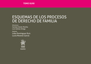 Esquemas de los procesos de derecho de familia. 9788413360263