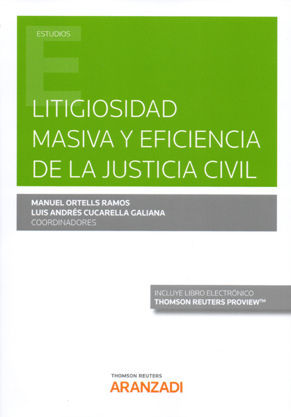 Litigiosidad masiva y eficiencia de la justicia civil. 9788413092089