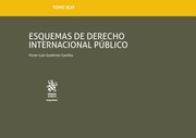 Esquemas de Derecho Internacional Público. 9788491906933