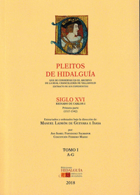 Pleitos de Hidalguía que se conservan en el Archivo de la Real Chancillería de Valladolid (extracto de sus expedientes). 9788494784293