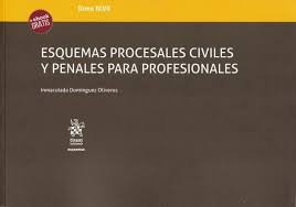 Esquemas procesales civiles y penales para profesionales. 9788413136028