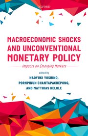 Macroeconomic shocks and unconventional monetary policy