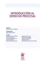 Introducción al Derecho Procesal. 9788413362304