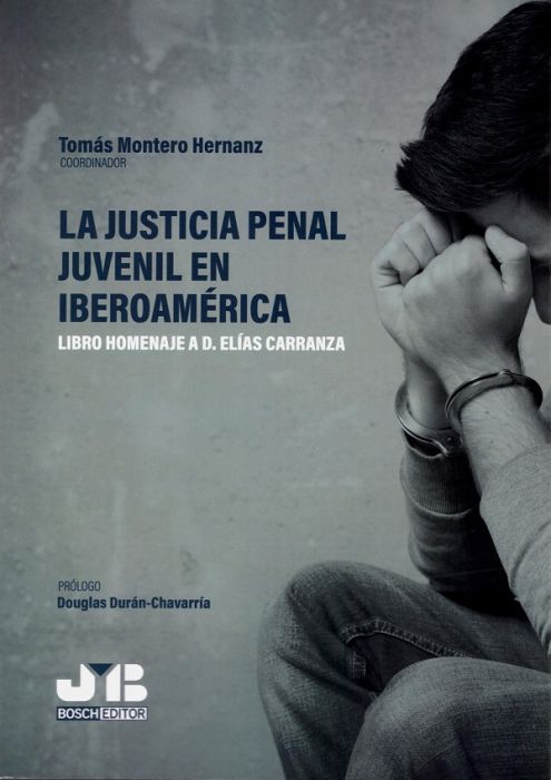 La justicia penal juvenil en Iberoamérica. 9788412252743