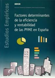 Factores determinantes de la eficiencia y rentabilidad de las PYME en España. 9788489959446
