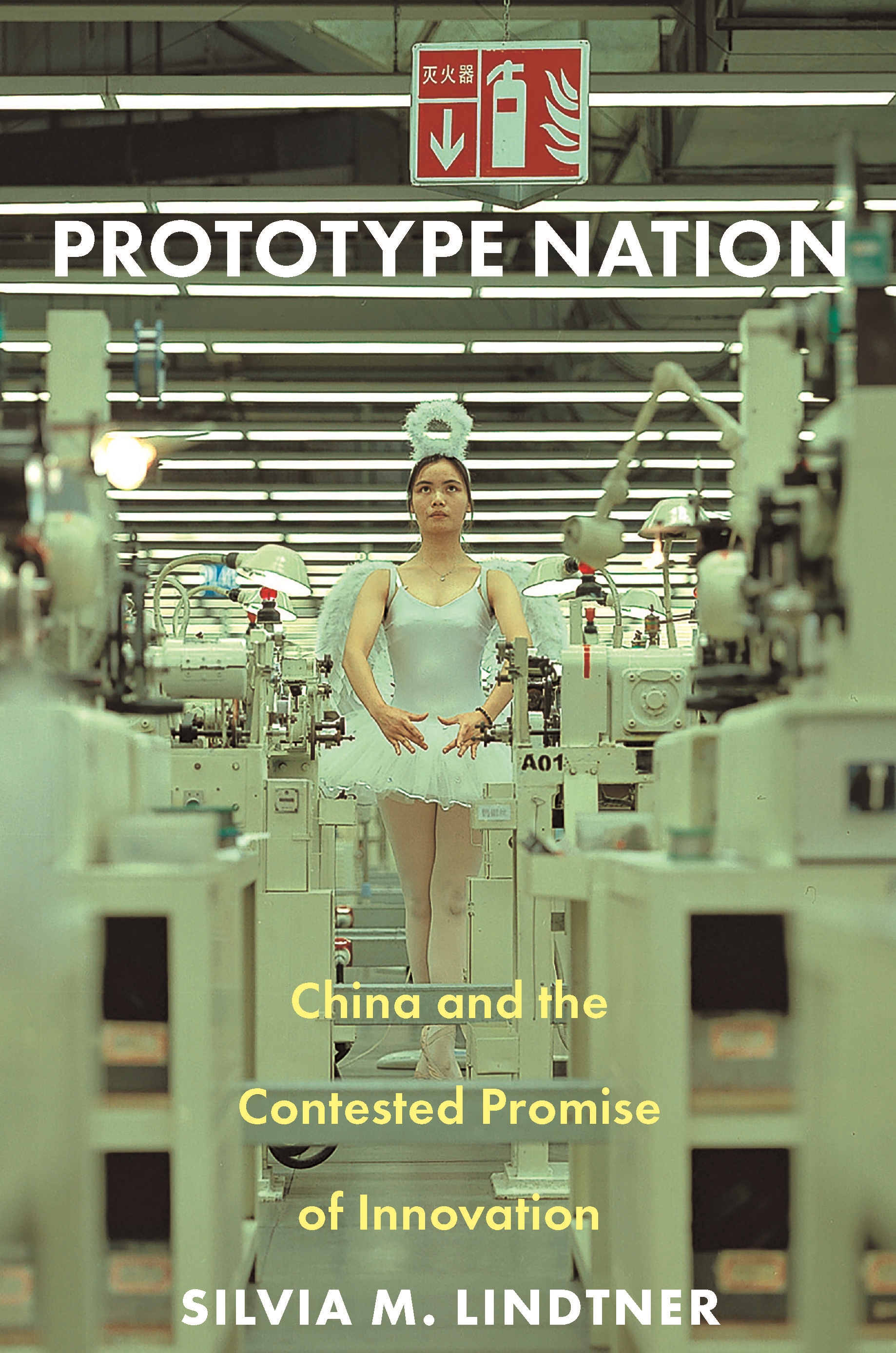 Prototype nation. 9780691207674