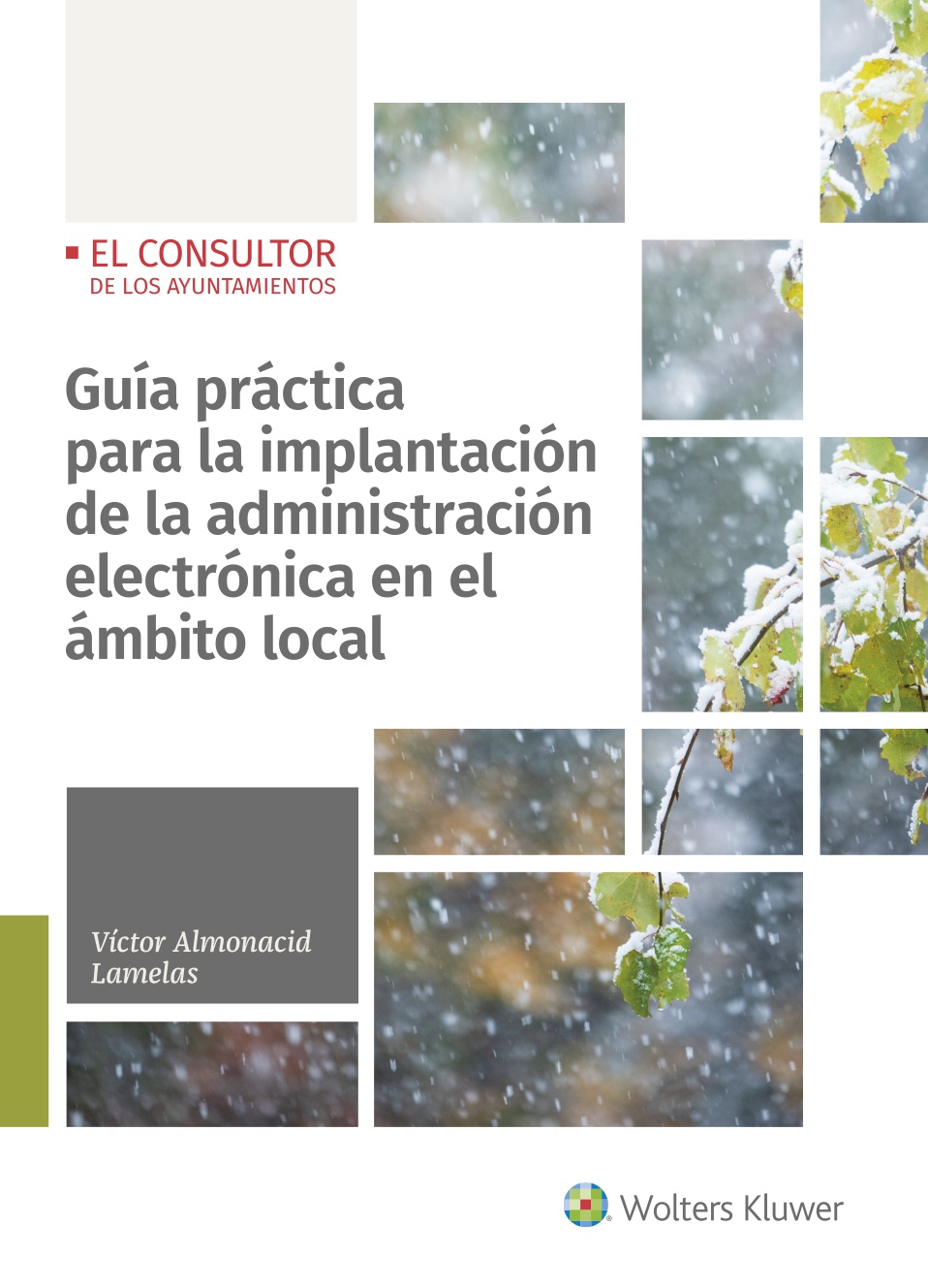 Guía práctica para la implantación de la administración electrónica en el ámbito local