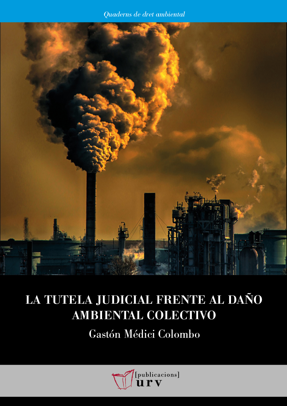 La tutela judicial frente al daño ambiental colectivo. 9788484245537