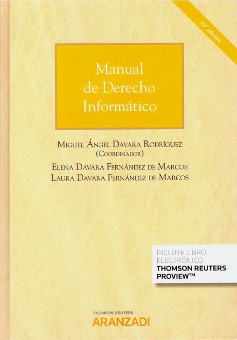 Manual de Derecho informático. 9788413464800