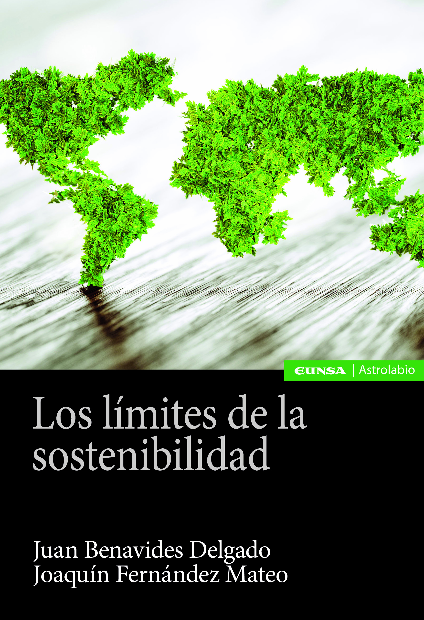 Los límites de la sostenibilidad. 9788431334710