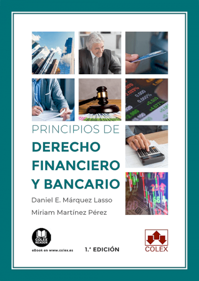 Principios de Derecho financiero y bancario. 9788413591315