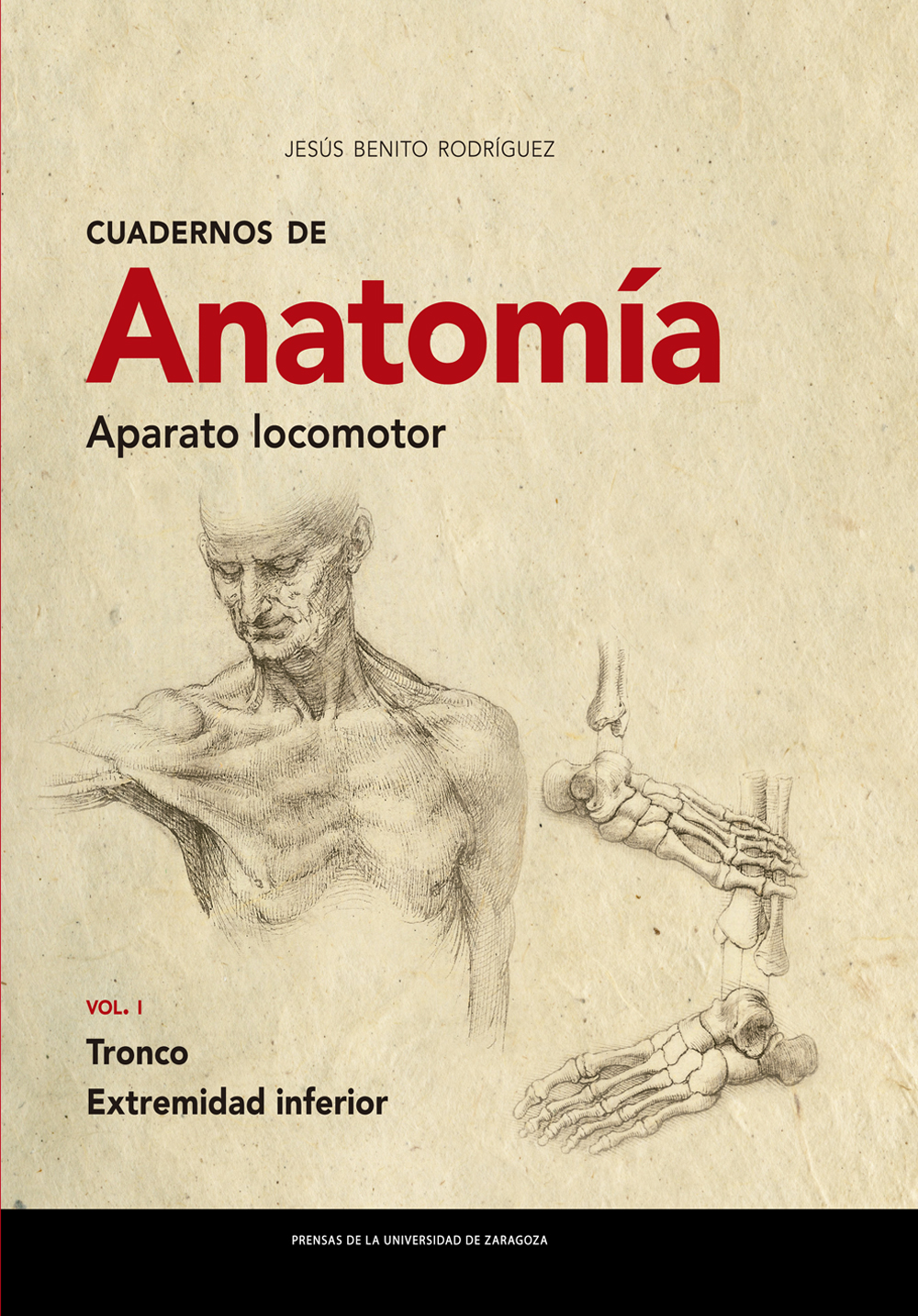 Cuadernos de Anatomía. Aparato locomotor. 9788413401850