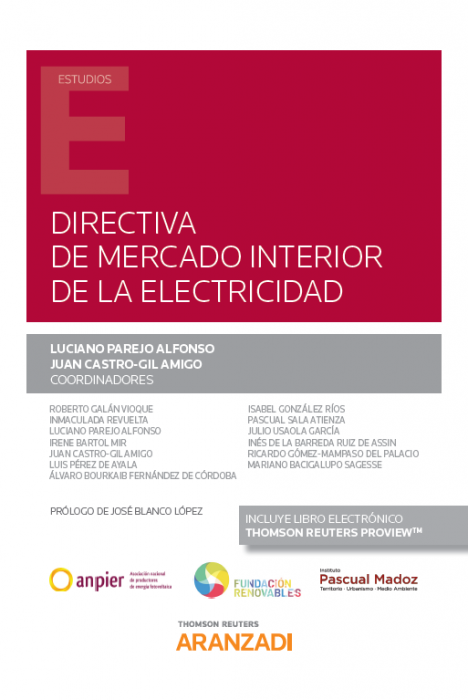 Directiva de mercado interior de la electricidad. 9788413453804