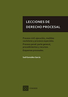 Lecciones de Derecho procesal. 9788413690933