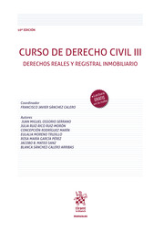 Curso de Derecho civil. 9788413978482
