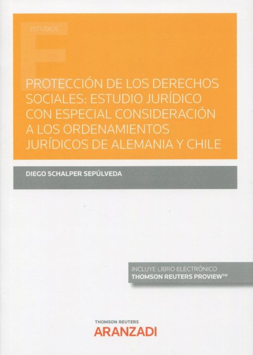 Protección de los derechos sociales. 9788413910239