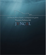 La flota de Nueva España y la búsqueda del galeón Nuestra Señora del Juncal. 9788481817775