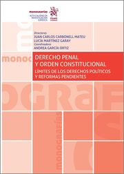 Derecho Penal y orden constitucional. 9788411300667