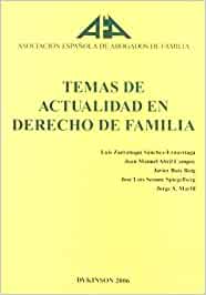 Temas de actualidad en Derecho de familia. 9788497728294