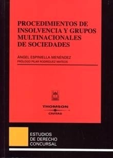 Procedimientos de insolvencia y grupos multinacionales de sociedades. 9788447024384