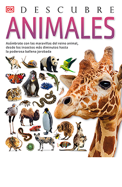 Animales, Descubre. 9788418350610