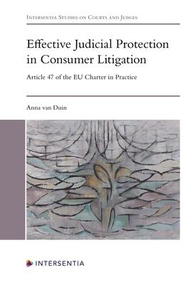  Effective judicial protection in consumer litigation. 9781839701948
