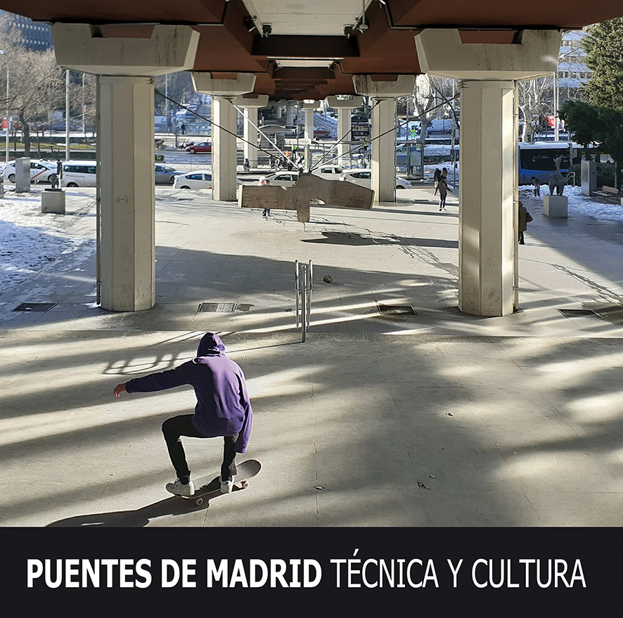 Puentes de Madrid. 9788498734898