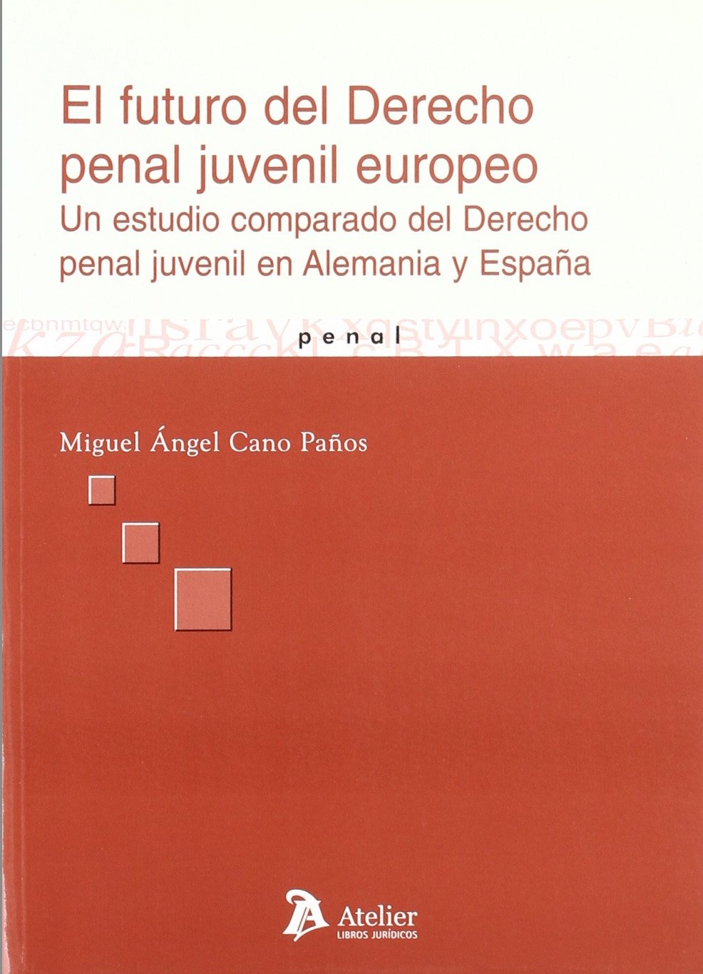 El futuro del Derecho penal juvenil europeo. 9788496354883
