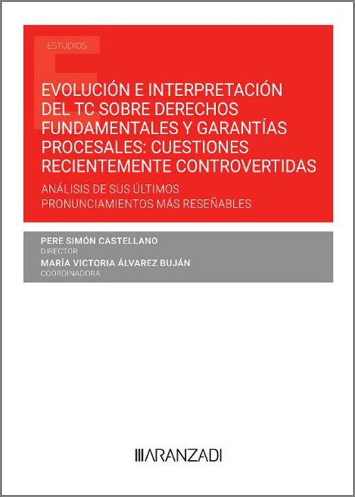 Evolución e interpretación del TC sobre derechos fundamentales y garantías procesales: cuestiones recientemente controvertidas. 9788411246262
