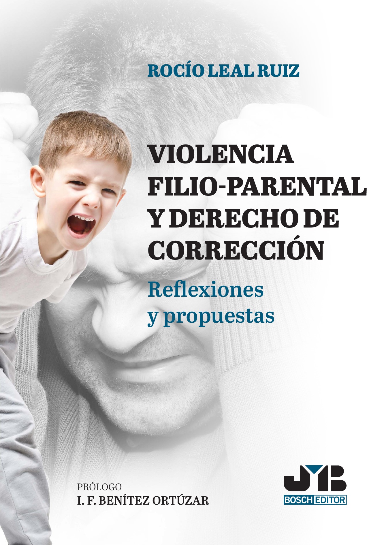 Violencia filio-parental y derecho de corrección. 9788419580863