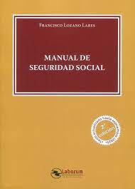 Manual de Seguridad Social. 9788419145666