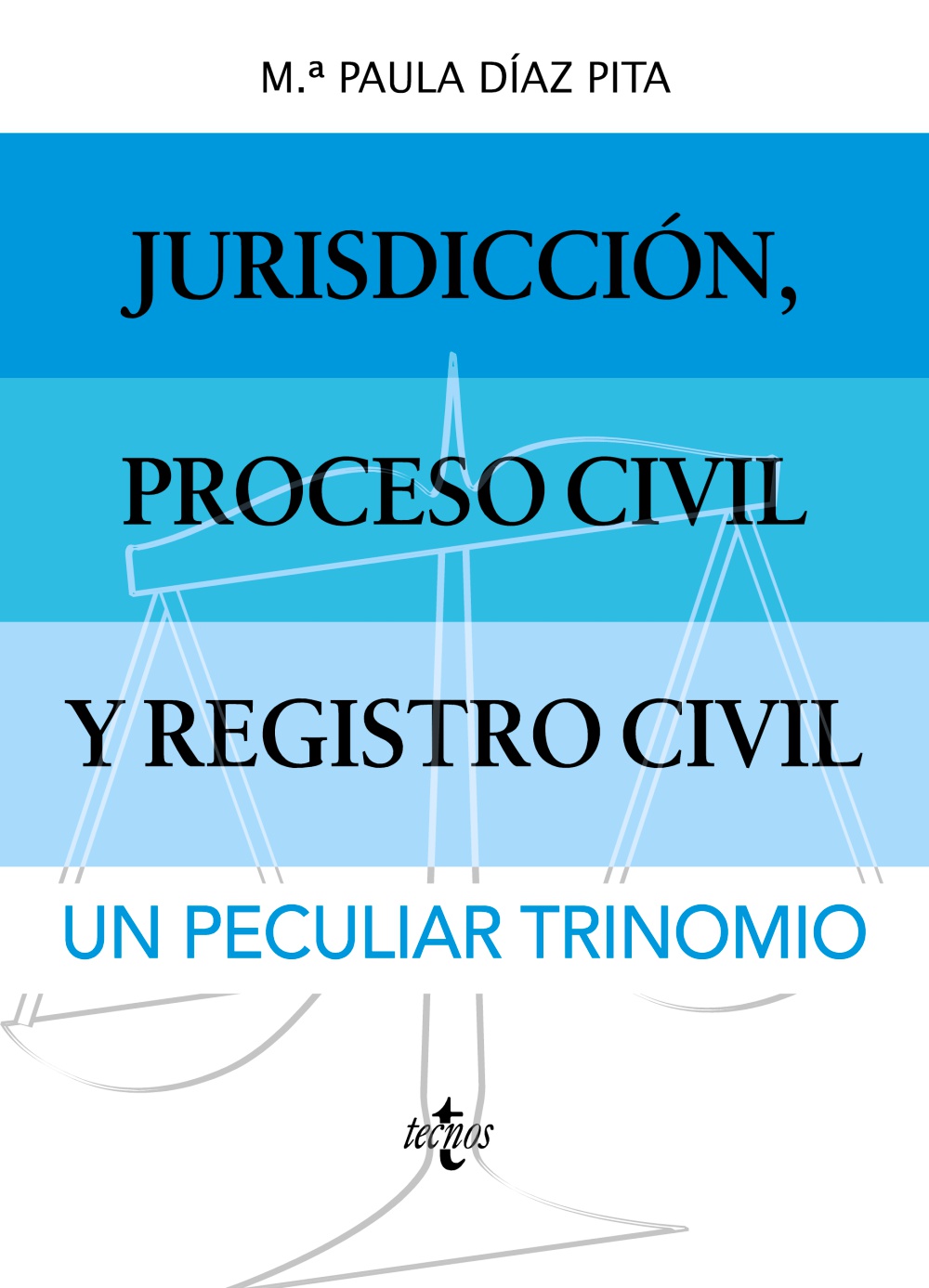 Jurisdicción, proceso civil y Registro Civil. 9788430987092