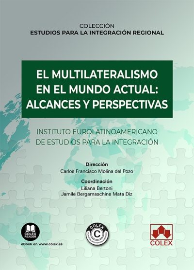 El multilateralismo en el mundo actual: alcances y perspectivas. 9788413597430