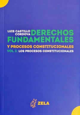 Derechos fundamentales y procesos constitucionales. 9786124821479