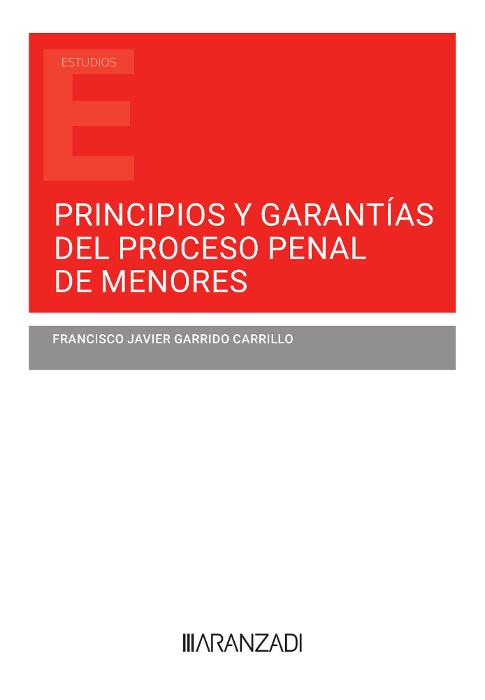 Principios y garantías del proceso penal de menores . 9788411247955