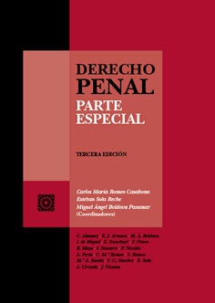 Derecho penal. 9788413696492