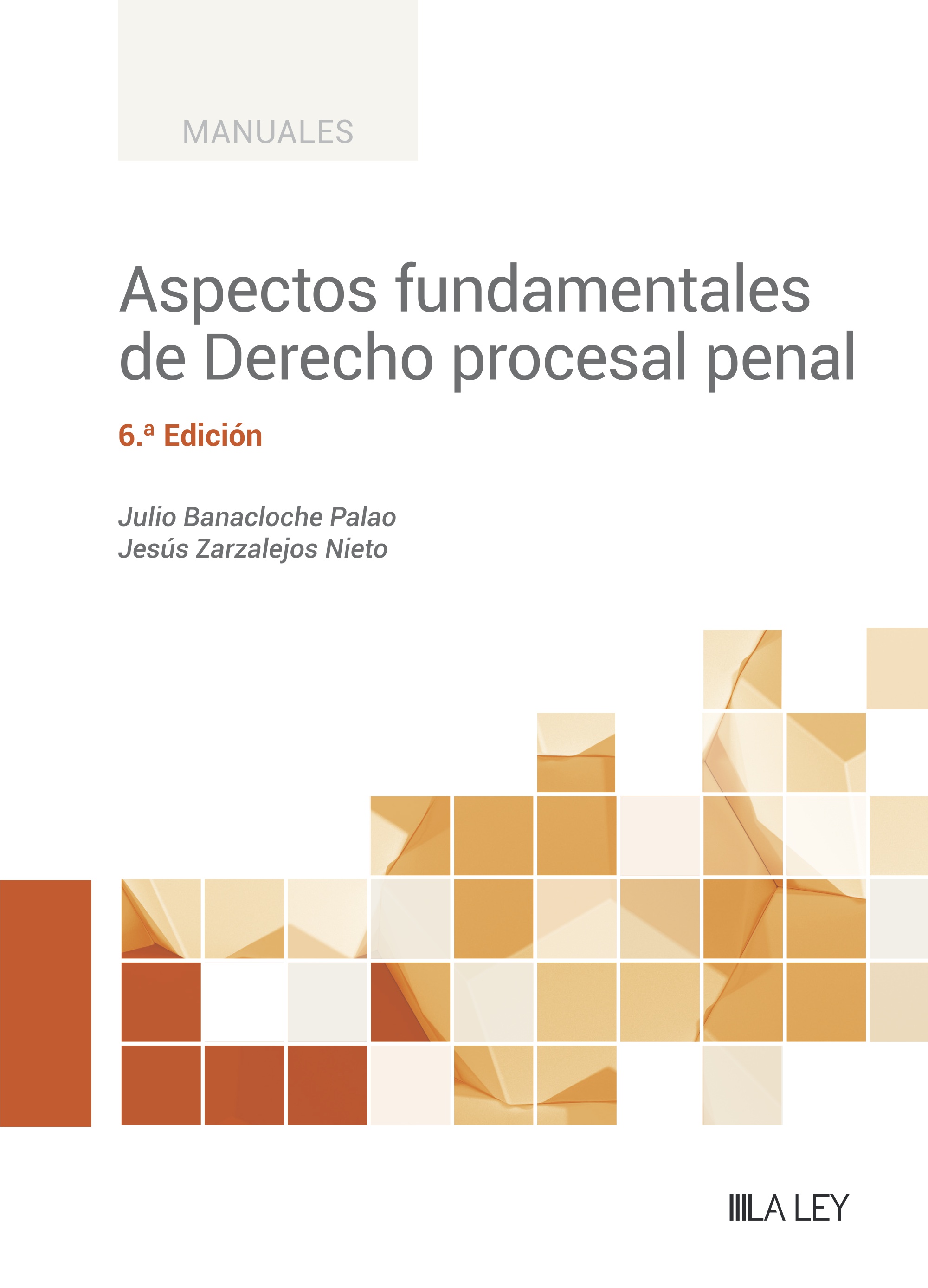 Aspectos fundamentales de Derecho procesal penal. 9788419446732