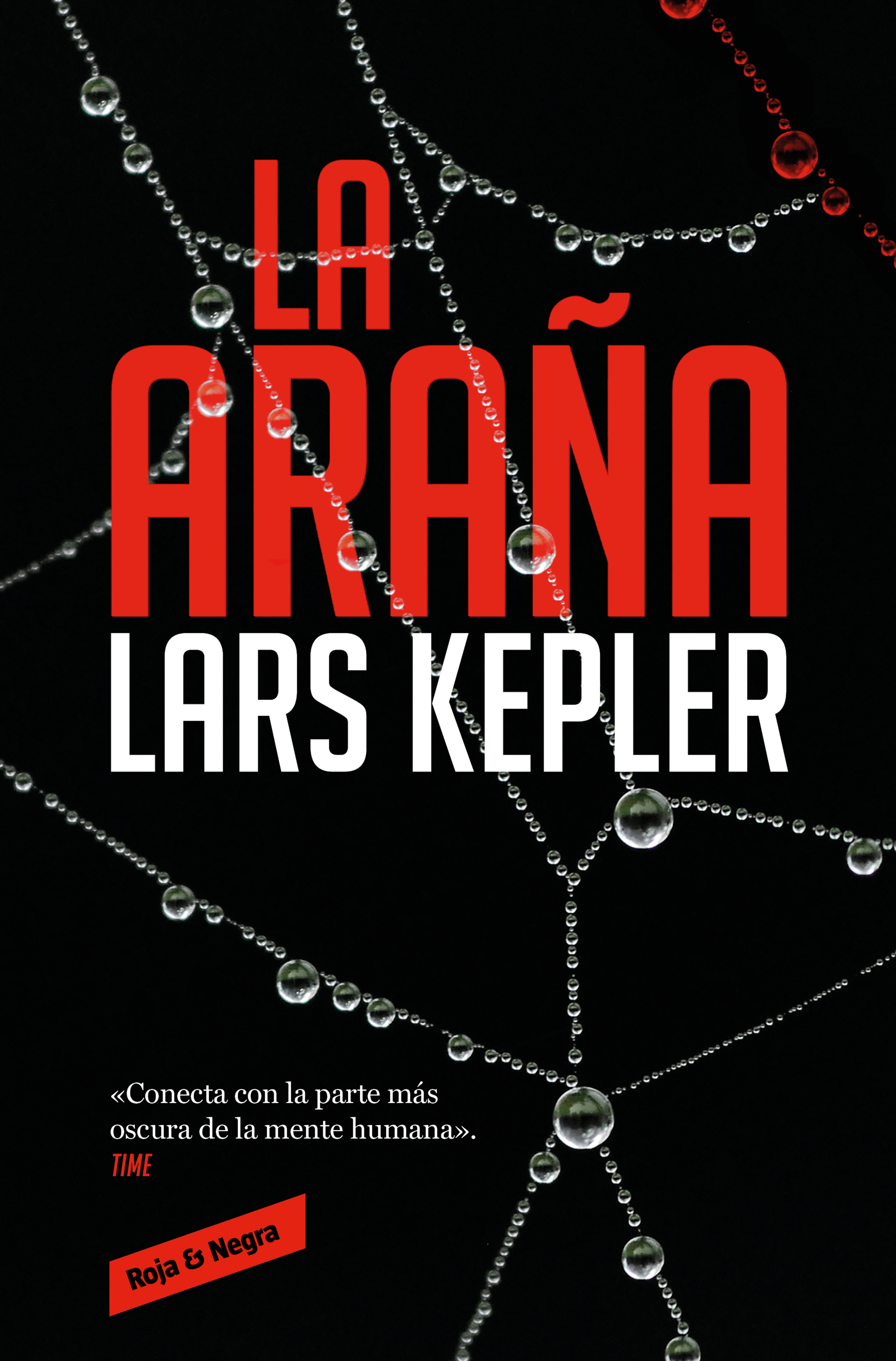 La araña . 9788419940001