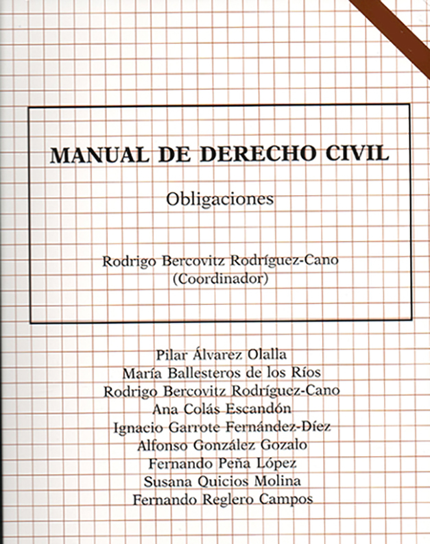 Manual de Derecho civil. 9788489118409