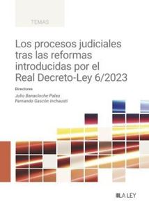Los procesos judiciales tras las reformas introducidas por el Real Decreto-Ley 6/2023. 9788419905642