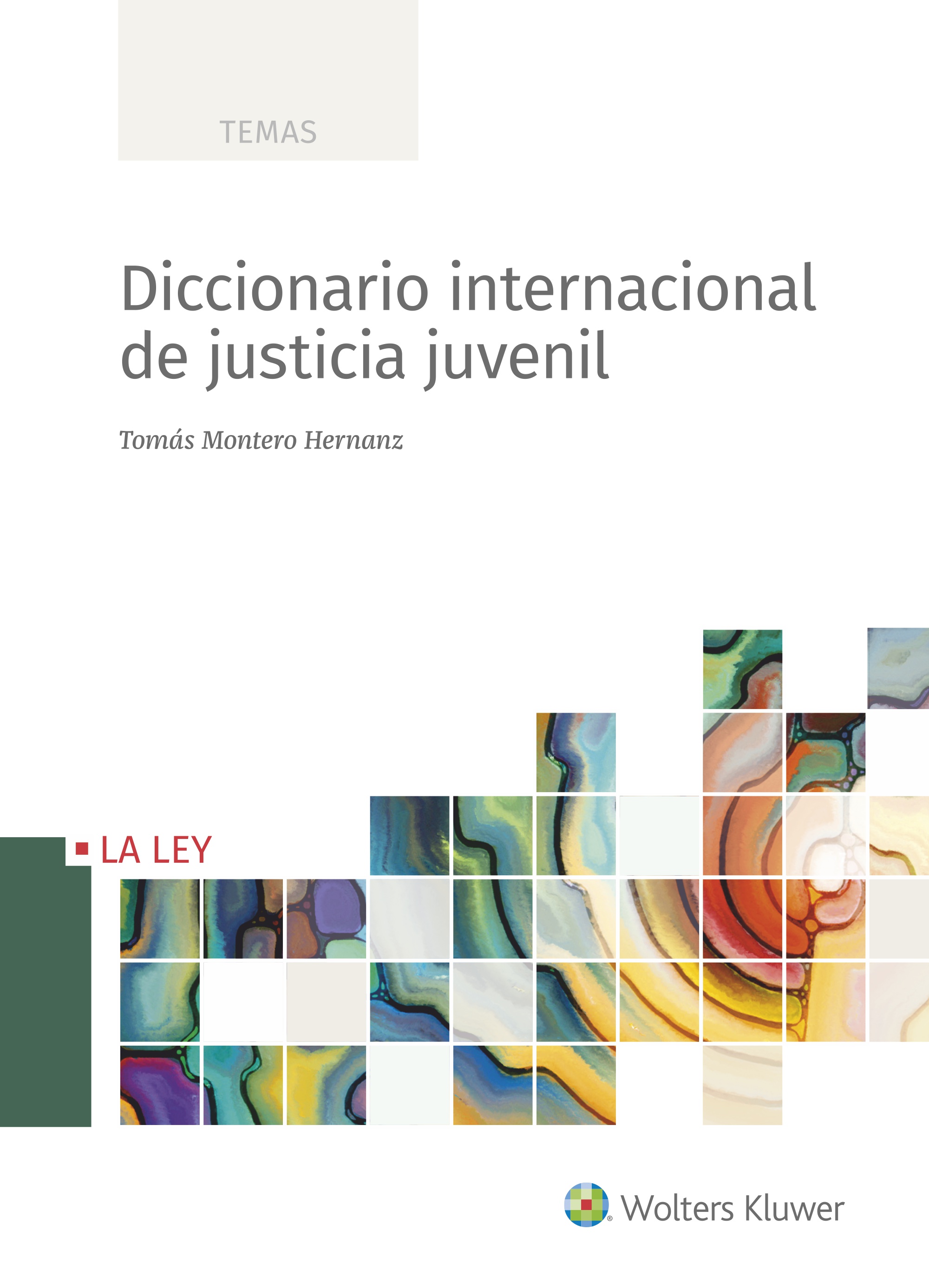 Diccionario internacional de justicia juvenil. 9788490203897