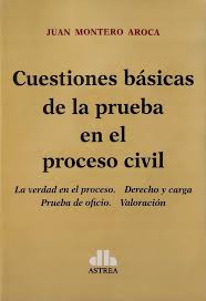 Cuestiones básicas de la prueba en el proceso civil