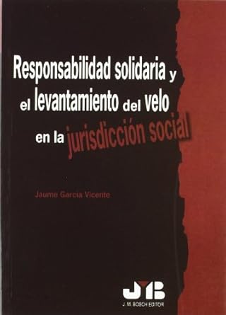 Responsabilidad solidaria y el levantamiento del velo en la jurisdicción social. 9788476986981