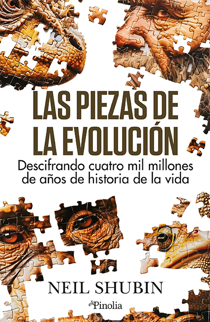 Las piezas de la evolución. 9788419878649