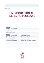 Introducción al Derecho Procesal . 9788410715233