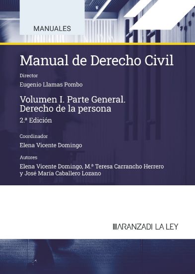 Manual de Derecho civil. 9788419905574