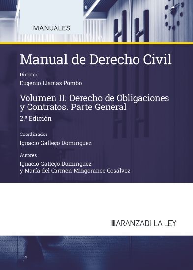 Manual de Derecho civil. 9788419905581