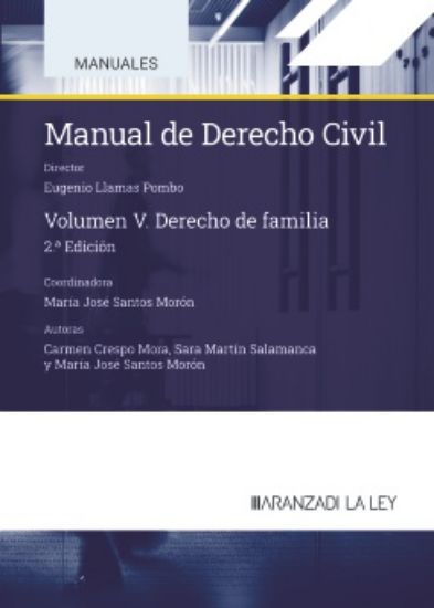 Manual de Derecho civil. 9788419905611