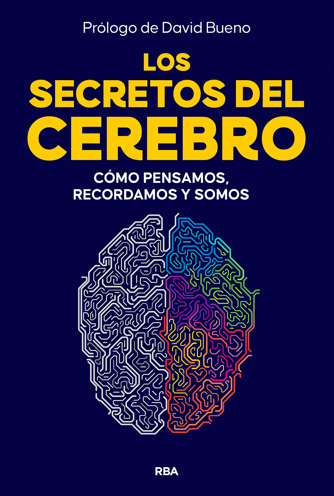 Los secretos del cerebro. 9788410981249